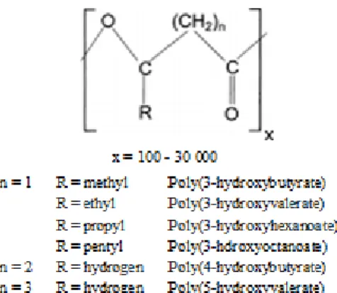 Figure 2.1: General structure of polyhydroxyalkanoates and some representative members (adapted from  Lee et al