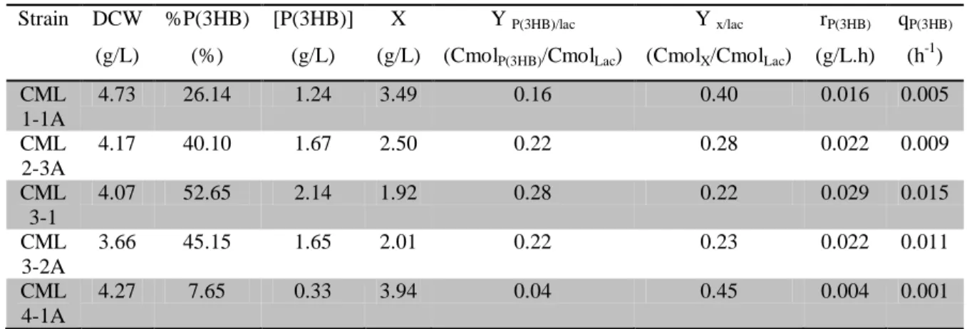 Table 3.2: Results obtained with the five recombinant E. coli strains cultivated in LB k +Lac medium