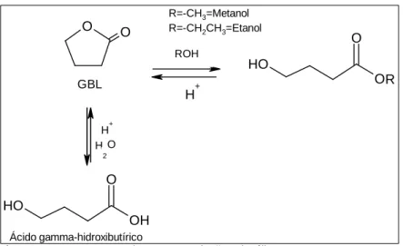 Figura 4: Estrutura química dos precursores do GHB 