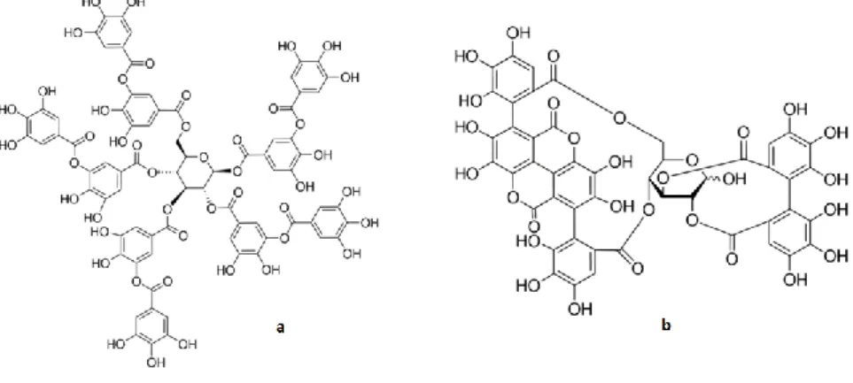 Figura 10: Estrutura do galotanino ácido tânico (a) e do elagitanino punicalagina (b)  [45] .