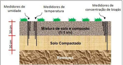 Figura 2 – Perfil da camada metanotrófica experimental 