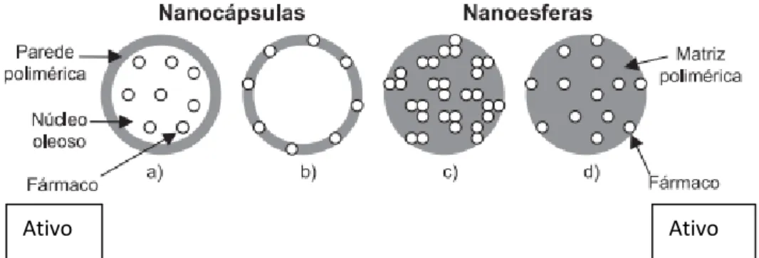 Figura  1  –  Representação  esquemática  de  nanocápsulas  e  nanoesferas  poliméricas;  a)  ativo  dissolvido  no  núcleo  oleoso  das  nanocápsulas;  b)  ativo  adsorvido  à  parede  polimérica  nas  nanocápsulas;  c)  ativo  retido  na  matriz  polimér