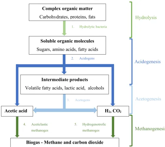 Figure 1. 2. Stages of anaerobic digestion process and the different bacterial group involved (Adapted from Lier et al