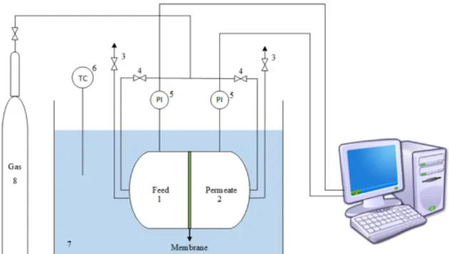 Figure 2. 3. Schematic representation of the single gas permeation installation: (1) Feed; (2) Permeate; (3) Outlet valves; (4)  Inlet valves; (5) Pressure indicators; (6) Temperature controllers; (7) Water bath; (8) Test gas