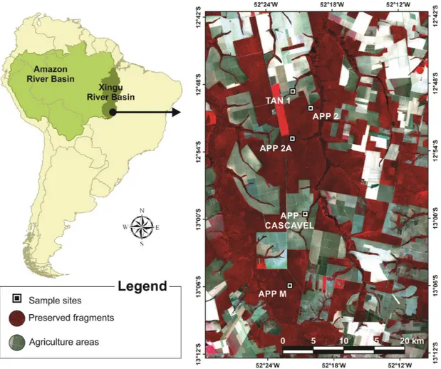 Figure 1. Study area and sampling sites from the Upper Xingu River Basin, satellite image based on Normalized  Difference Vegetation Index (NDVI) - composition False Color -bands 5/4/3 – Spacial resolution of 30 meters,  LANDSAT 8 (2017).