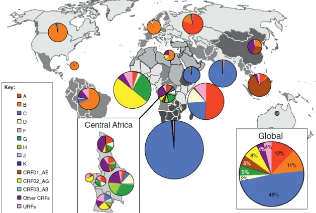 Figure 4. Global distribution of HIV-1 subtypes and recombinant forms. 