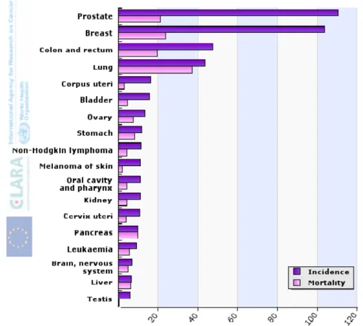 Figure 6. 2008 statistics of the cancer incidence and mortality rates in EU for both sexes