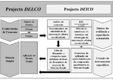 Figura 1 – Visão global e articulação entre os projetos DELCO e DEICO 