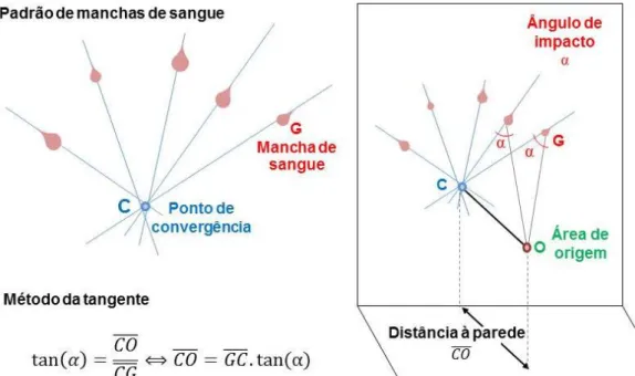 Figura 7 – Esquema explicativo da determinação da área de origem através do método da tangente