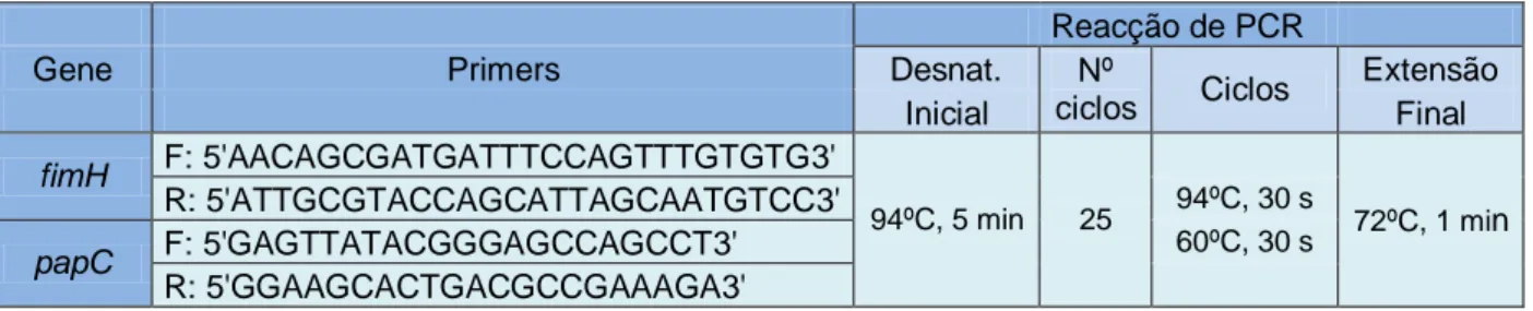 Tabela  2  - Primers  e  condições  das  reacções  de  PCR  para  amplificação  dos  genes  de  virulência (fimH e papC).