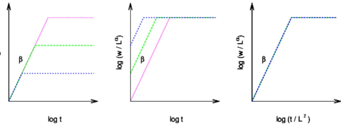Figura 2.4: Esquema que mostra a dependência da rugosidade em relação ao tempo para diferente valores de L