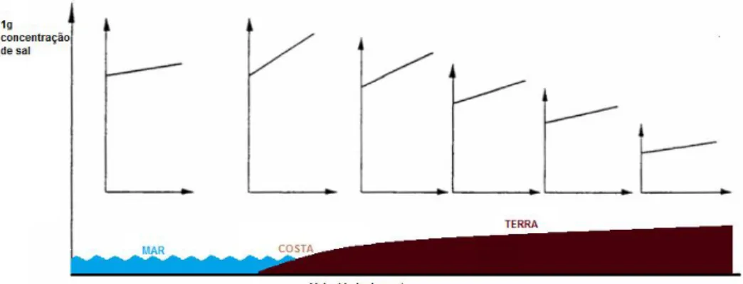 Fig. 2.14 – Desenho esquemático da dependência da concentração de sal em função da velocidade do vento,  adaptado de [24] 