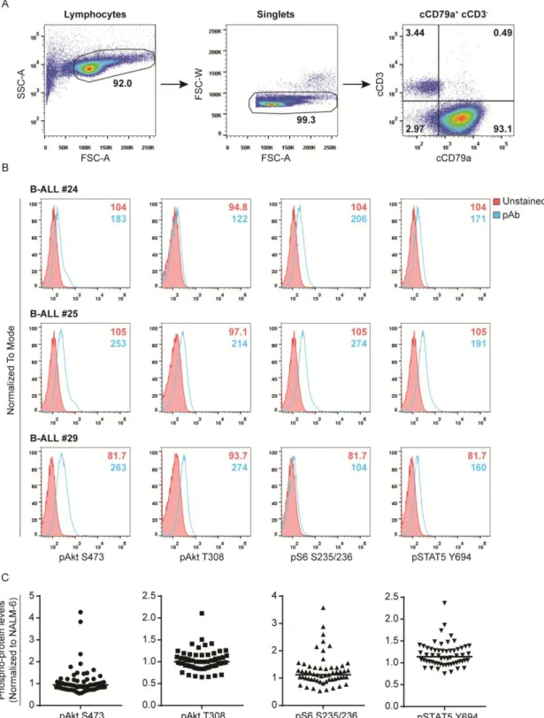 Figure  5.  Gating  strategy  and  analysis  of  signaling  pathway  activation  by  phospho-flow  cytometry