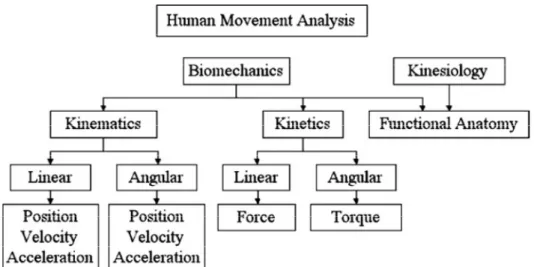 Figura 15 – Tipo de análise de movimento (citado por Godfrey et al., 2008; Greene &amp; Roberts, 1999) 