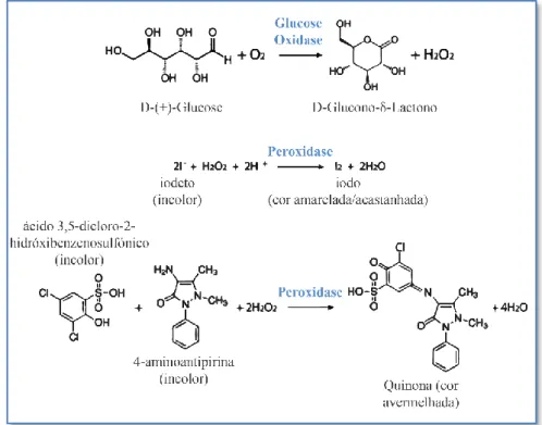 Figura 1.3 – Exemplos de reações enzimáticas utilizadas na medição colorimétrica da concentração de  glucose de uma solução biológica
