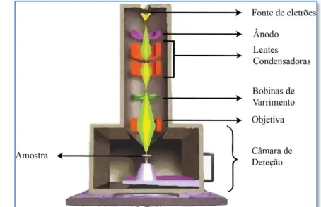 Figura 2.3 – Esquema da composição do Microscópio Eletrónico de Varrimento; 