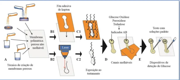 Figura 3.13 - Esquema passo a passo da produção de dispositivos de deteção de Glucose; 