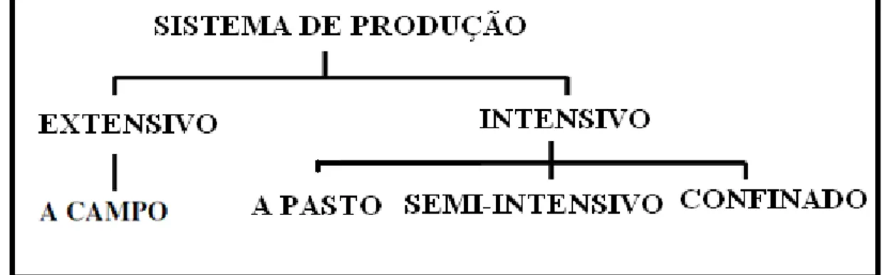 Figura 1: Classificação dos sistemas de produção de leite (Krug, 2001). 