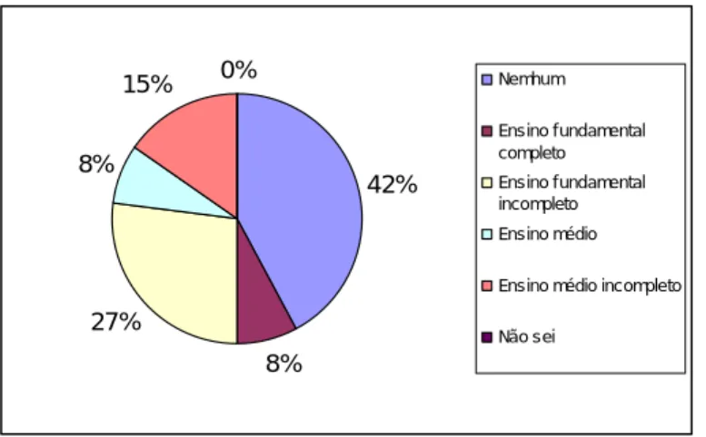 Figura 11. Grau de escolaridade dos entrevistados. 