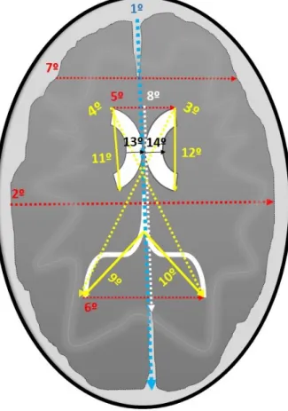 Figura 3.1: Pontos utilizados na extra¸c˜ ao de caracter´ısticas das imagens de RM do c´ erebro.