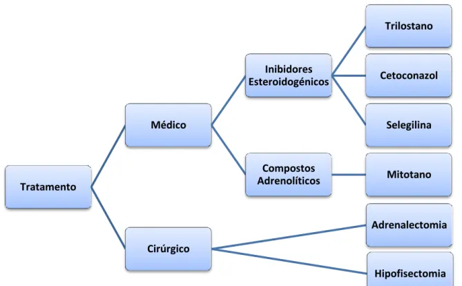 Figura  15  -  Esquema  representativo  das  opções  terapêuticas  para  o  Hiperadrenocorticismo  canino