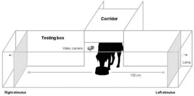 Figure 2.2.1 - Experimental design. 