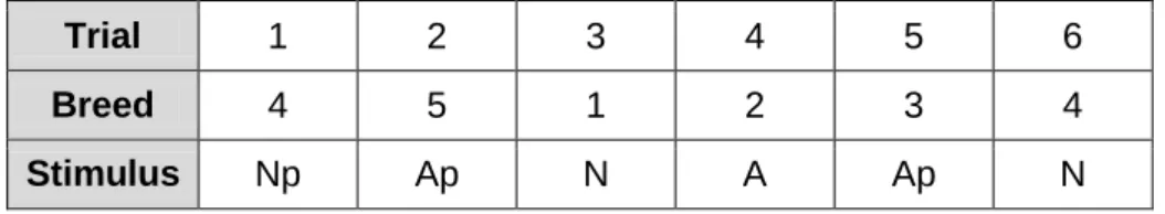 Table  2.2.2  -  Example  of  sequence  of  stimuli  in  a  session,  comprising  6  trials  in  a  randomize  order  of  the  type  of  stimuli  ('neutral'  (N),  'aggressive'  (A),  'neutral  puzzle'  (Np)  and  'aggressive  puzzle' (Ap)), representing a