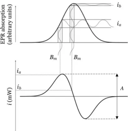 Figure 4.4 - Illustration of the EPR absorption line and the respective first derivative, as  the EPR signal is presented in the EPR spectroscopy technique