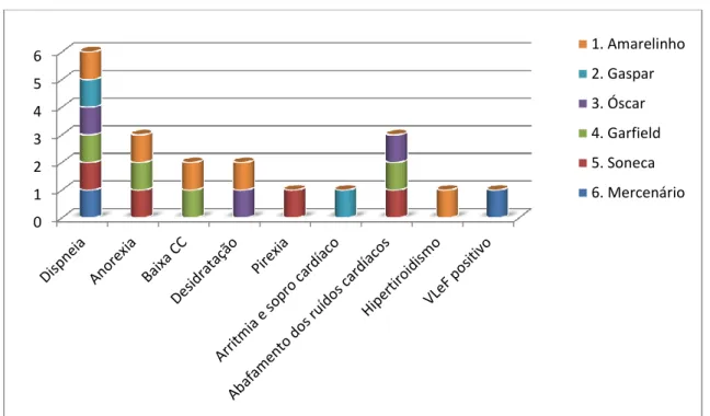 Gráfico 2  - Dados considerados  relevantes obtidos durante a anamnese e exame clínico