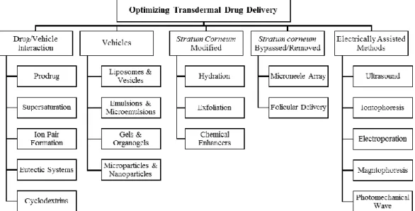 Fig. 1.5 - Some methods for optimizing transdermal drug delivery (adapted from [32, 35- 35-37])
