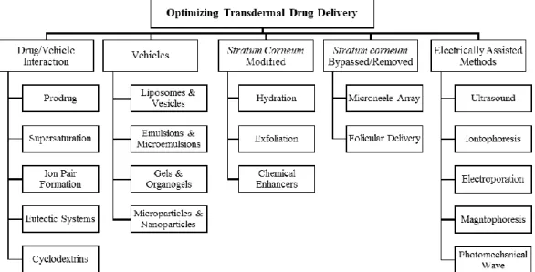 Fig. 1.5 - Some methods for optimizing transdermal drug delivery (adapted from [32, 35- 35-37])