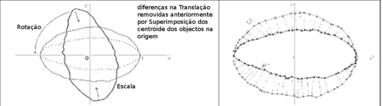 Ilustração 4: Alinhamento das formas e cálculo das fórmulas (adaptado de Jänichen e  Perner, 2006)