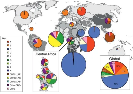 Figure 1-  Global distribution and prevalence of HIV-1 (adapted from[64]) .  