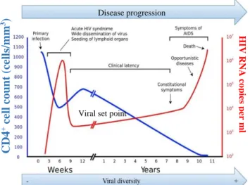 Figure 5- Natural course of untreated HIV-1 infection. Representation of the relation between HIV viral  load (red) and CD4 counts (blue) during the course of HIV infection (adapted from [137] and [138]
