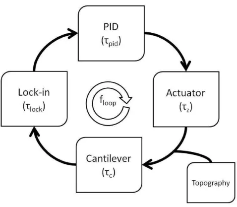 Figure 2.2: Diagram representing the feedback loop in amplitude modulation AFM. Each element in the loop has an associated time constant, which limits the maximum frequency attainable in measuring the topography at one single point in the sample, f loop .