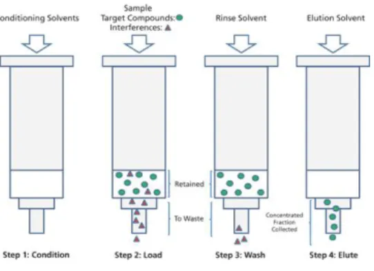 Figure 5: Steps of Solid-Phase Extraction (SPE). In the first step, the SPE column is  conditioned with solvents