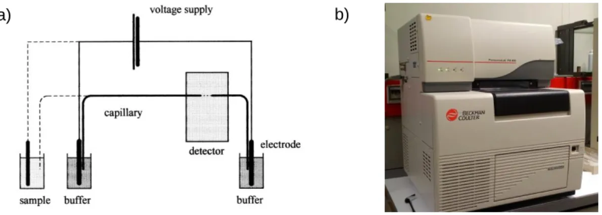 Figure 7: Capillary electrophoresis a) simplified scheme of a capillary  electropherograph (49); b) Capillary Electrophoresis System Beckman Coulter 