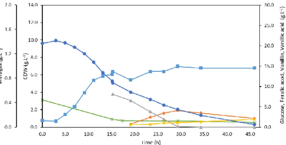 Table 3.3 – Comparison of growth and vanillin production obtained in standard conditions and in the run performed  with the nitrogen coming from yeast extract and ammonium phosphate