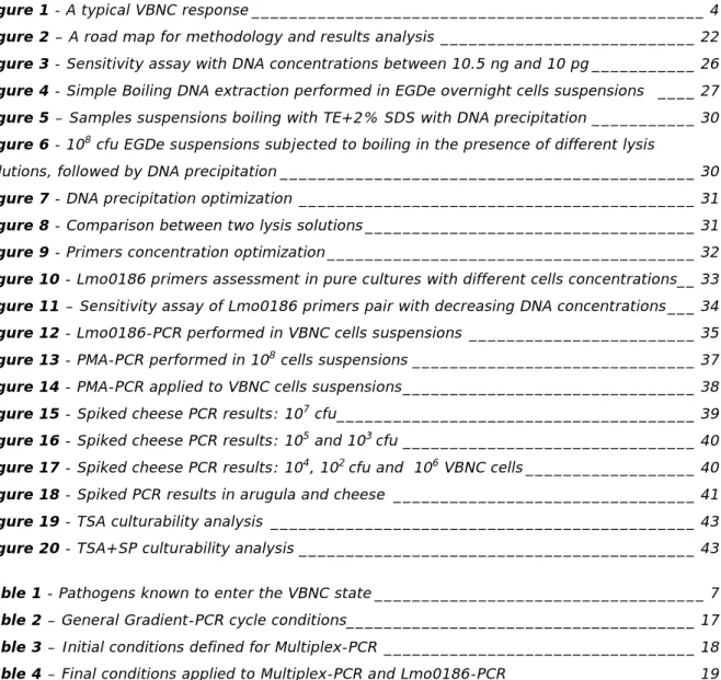 Figure 1 - A typical VBNC response ________________________________________________ 4  Figure 2 – A road map for methodology and results analysis ___________________________ 22  Figure 3 - Sensitivity assay with DNA concentrations between 10.5 ng and 10 pg