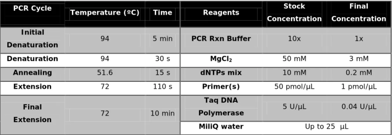 Table 3 – Initial conditions defined for Multiplex-PCR  