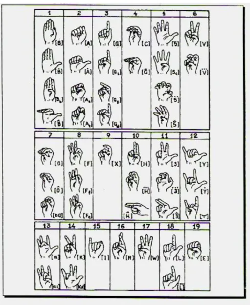 Figura 5: As 46 Configurações de Mãos da Libras (FERREIRA-BRITO, 1995, p. 220) 