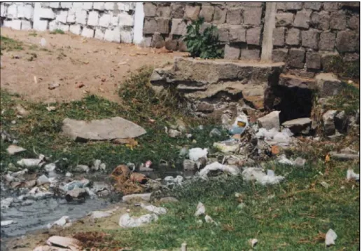 Figura 03: Lixo descartado na lagoa após a realização da feira municipal  Fonte: Nascimento, 1997