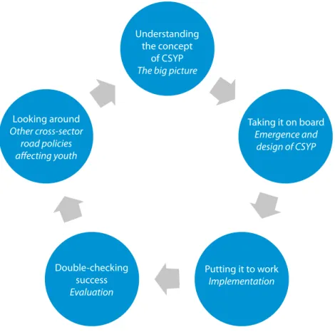 figure 1: steps in csyP development