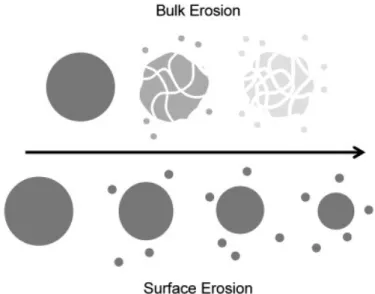 Figure  1.8. Mechanisms of bulk and surface erosion of polymers.  From Peppas N. and Narasimah B
