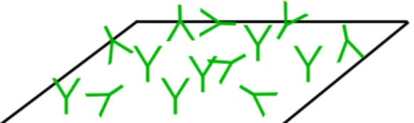 Fig. 2.5. Schematic of physical adsorption. The antibodies attach to the surface without any  specific order or orientation