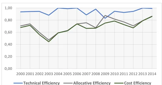 Figure 1. Evolution of Efficiency Levels over Time. 