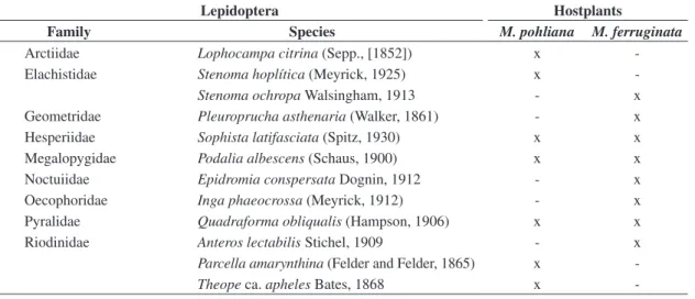 Table 2. Identified species of Lepidoptera collected and reared on Miconia ferruginata and M
