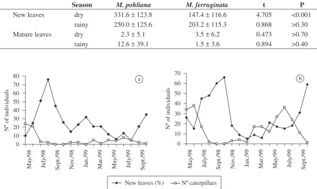 Figure 2. Number of individuals with more than 50% new leaves and number of caterpillars found in each month from May  1998 to September 1999 a) Miconia ferruginata; b) Miconia pohliana.