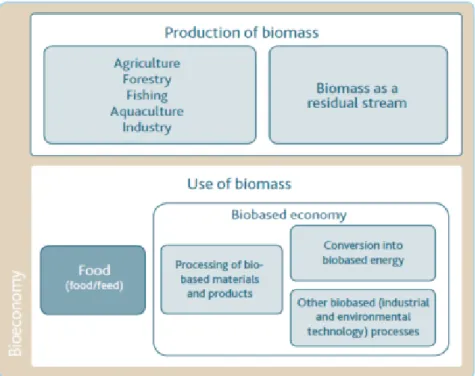 Figure 3.2 - The bioeconomy and the bio-based economy (SWECO et al., 2017) 