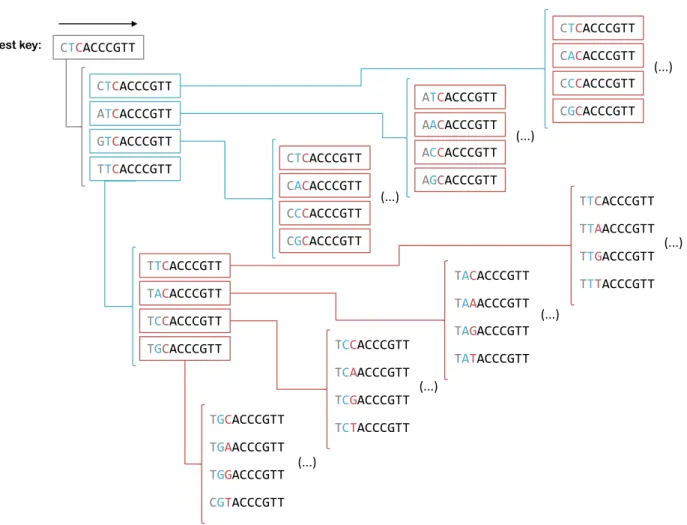 Figure 3.4: Scheme of the algorithm for the best key explosion. Each position of the best key has its base exchanged for each of the other remaining three bases to generate three new keys.